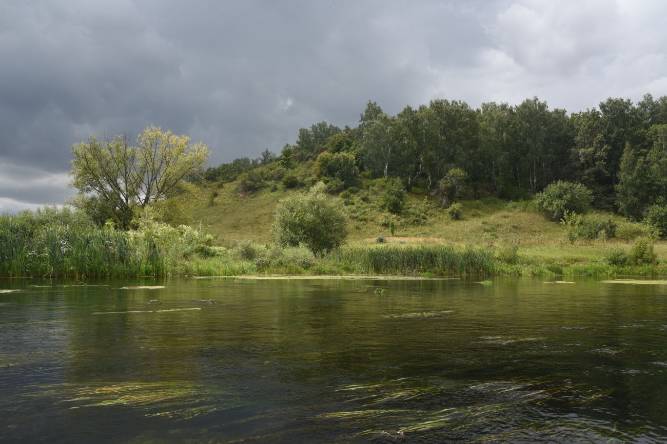 Урочище Крутые Дубки, image of landscape/habitat.