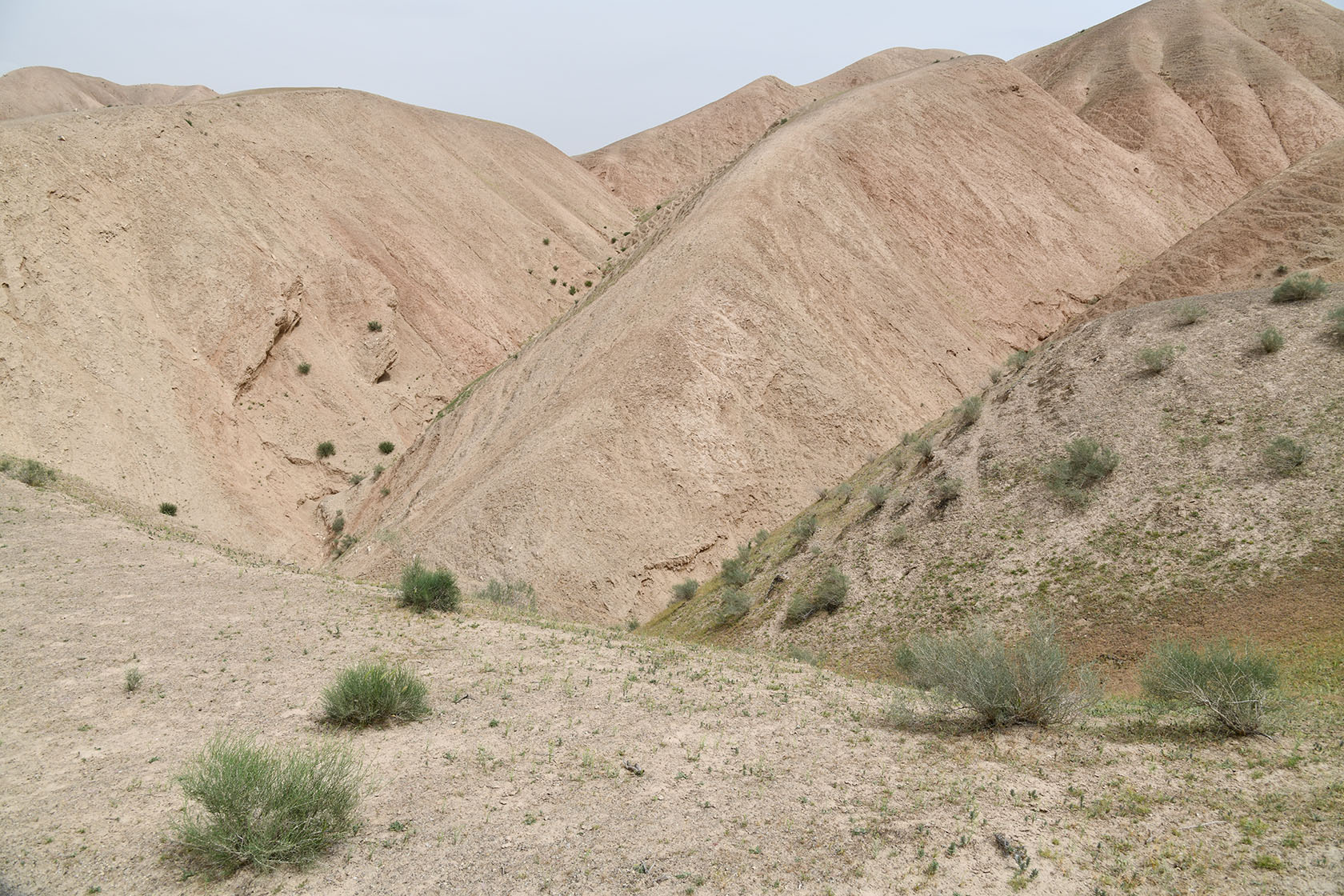 Перевал Дандан-Чикан, image of landscape/habitat.