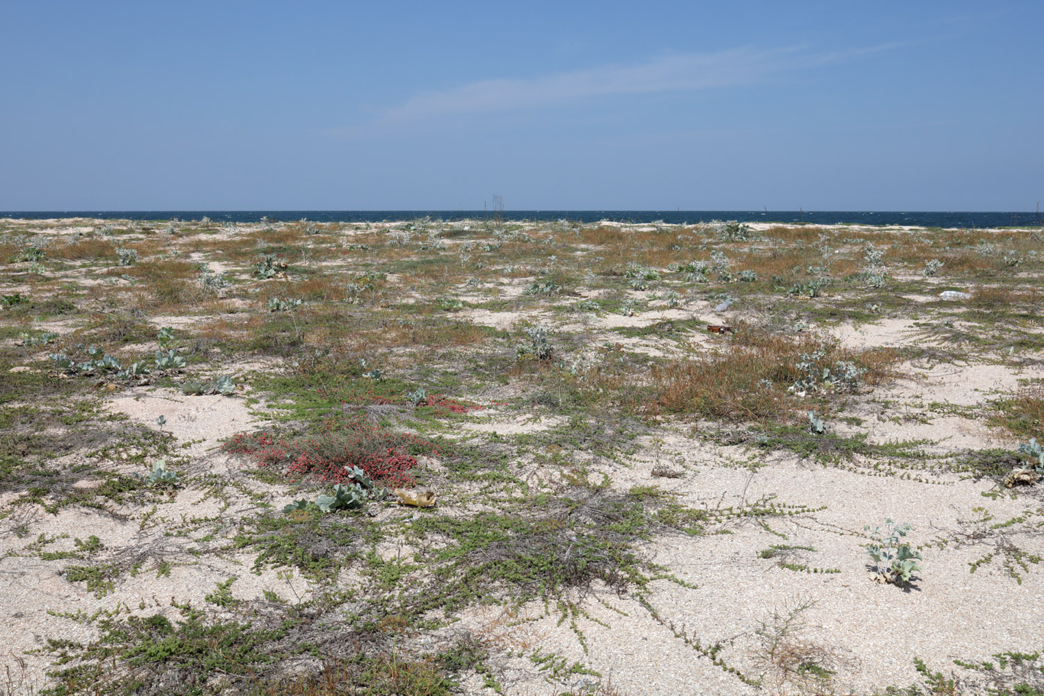 Арабатская стрелка, image of landscape/habitat.