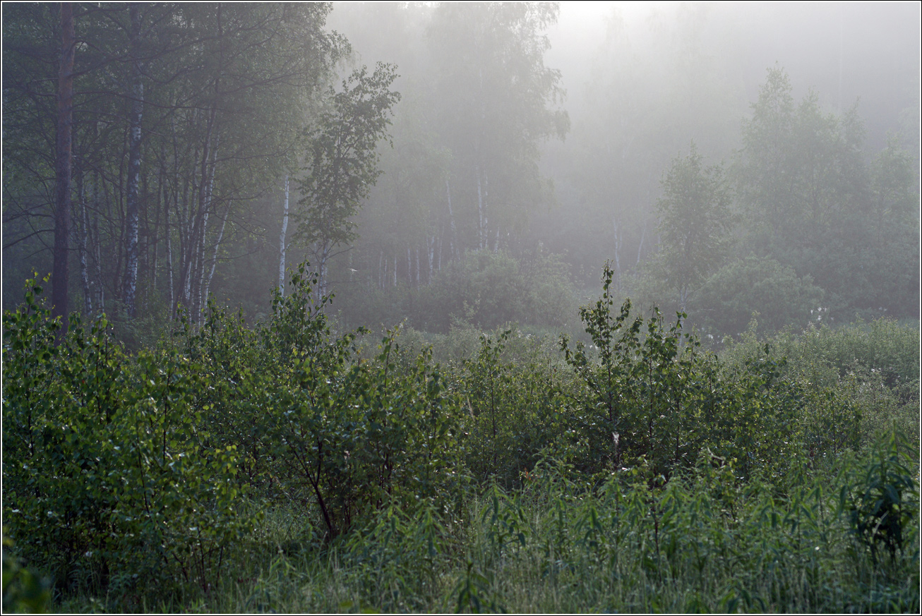 Окрестности Хрипани, image of landscape/habitat.