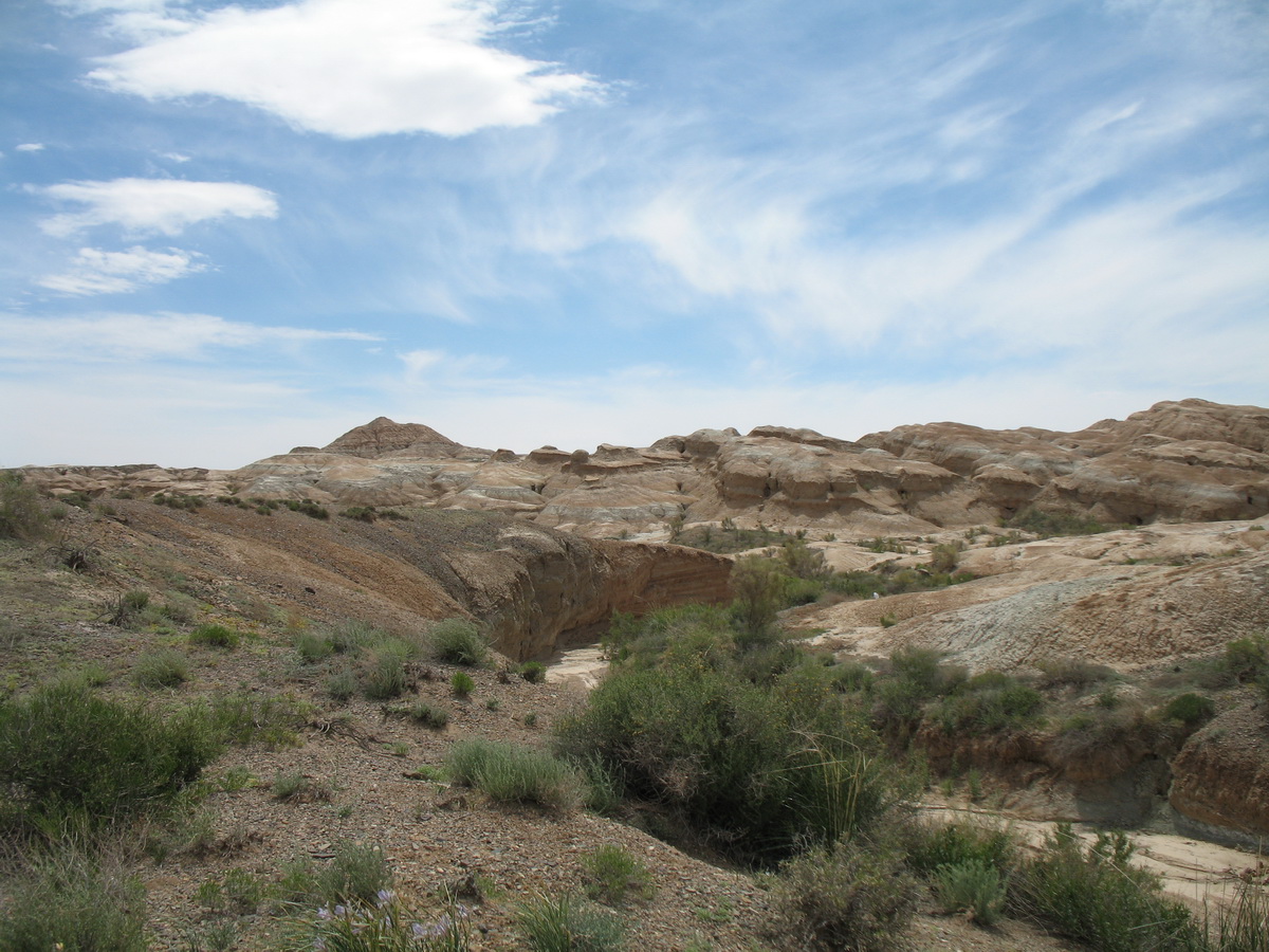 Горы Актау (восток), image of landscape/habitat.