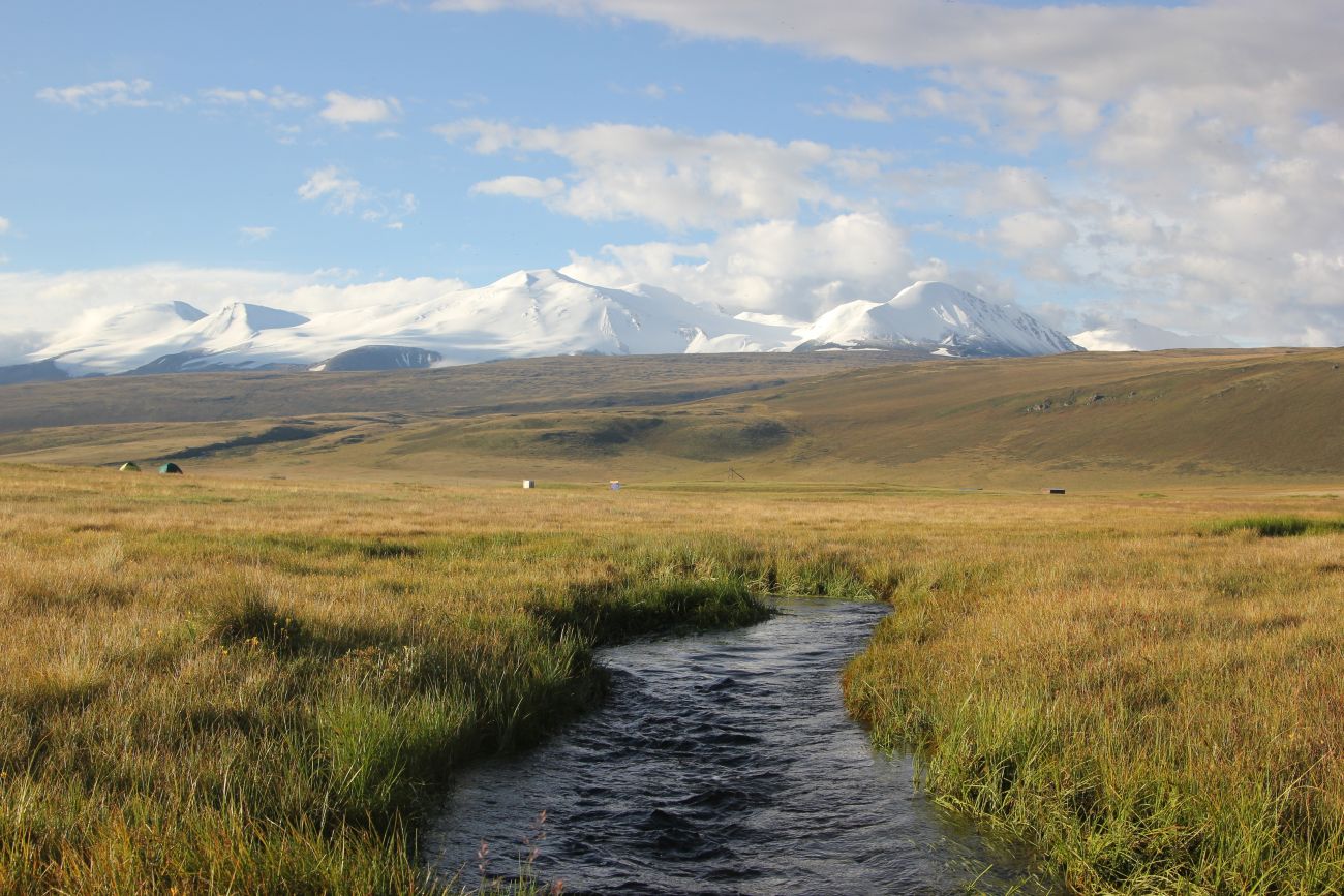 Окрестности Гусиного озера, image of landscape/habitat.