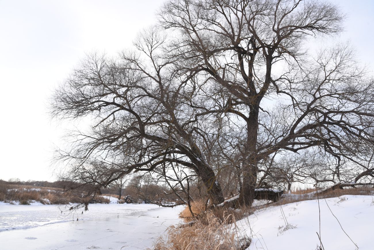 Барский Луг, image of landscape/habitat.