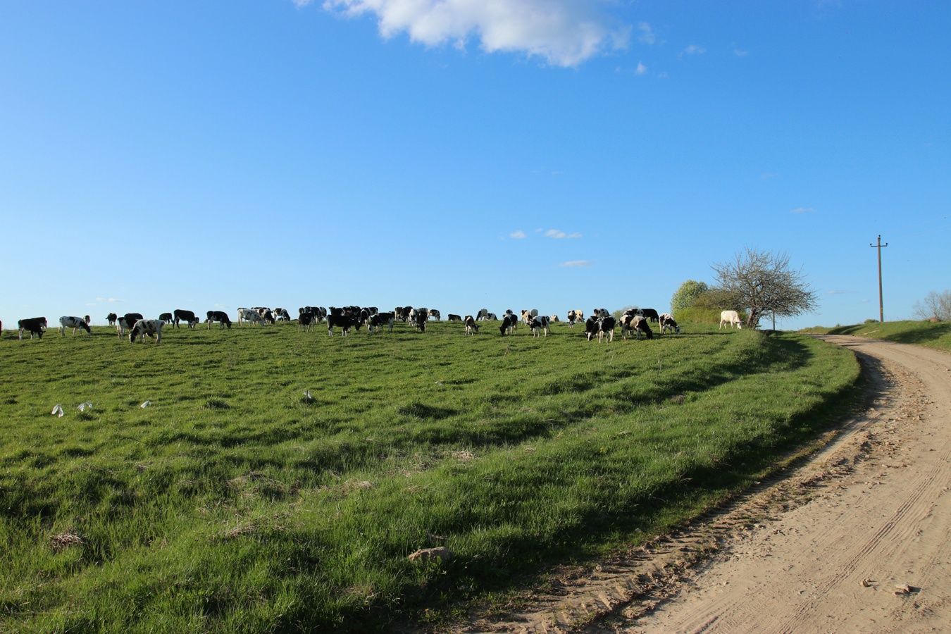 Езерище и окрестности, image of landscape/habitat.