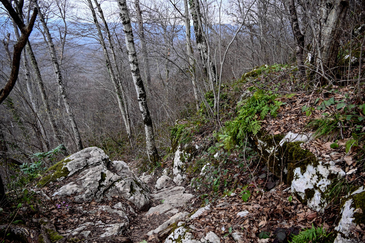 Гора Ахун, image of landscape/habitat.