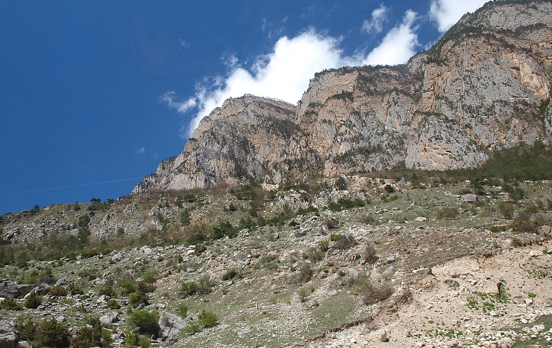 Середина Алагирского ущелья, image of landscape/habitat.