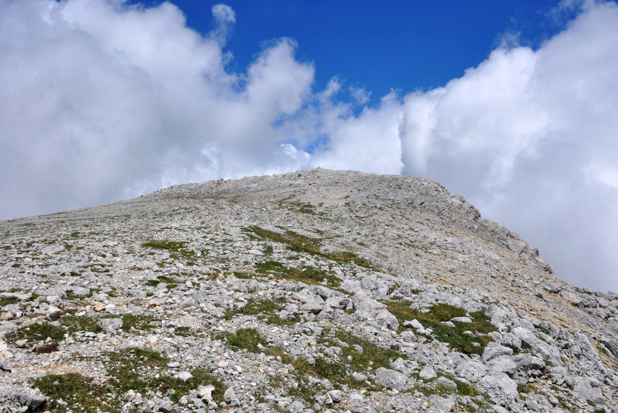 Оштен, image of landscape/habitat.