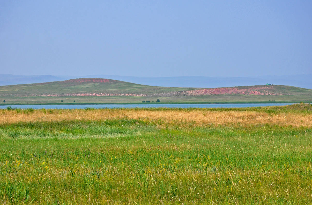 Озеро Малое Белё, image of landscape/habitat.