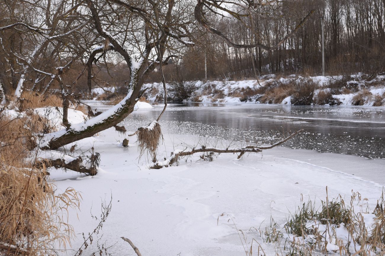 Барский Луг, image of landscape/habitat.