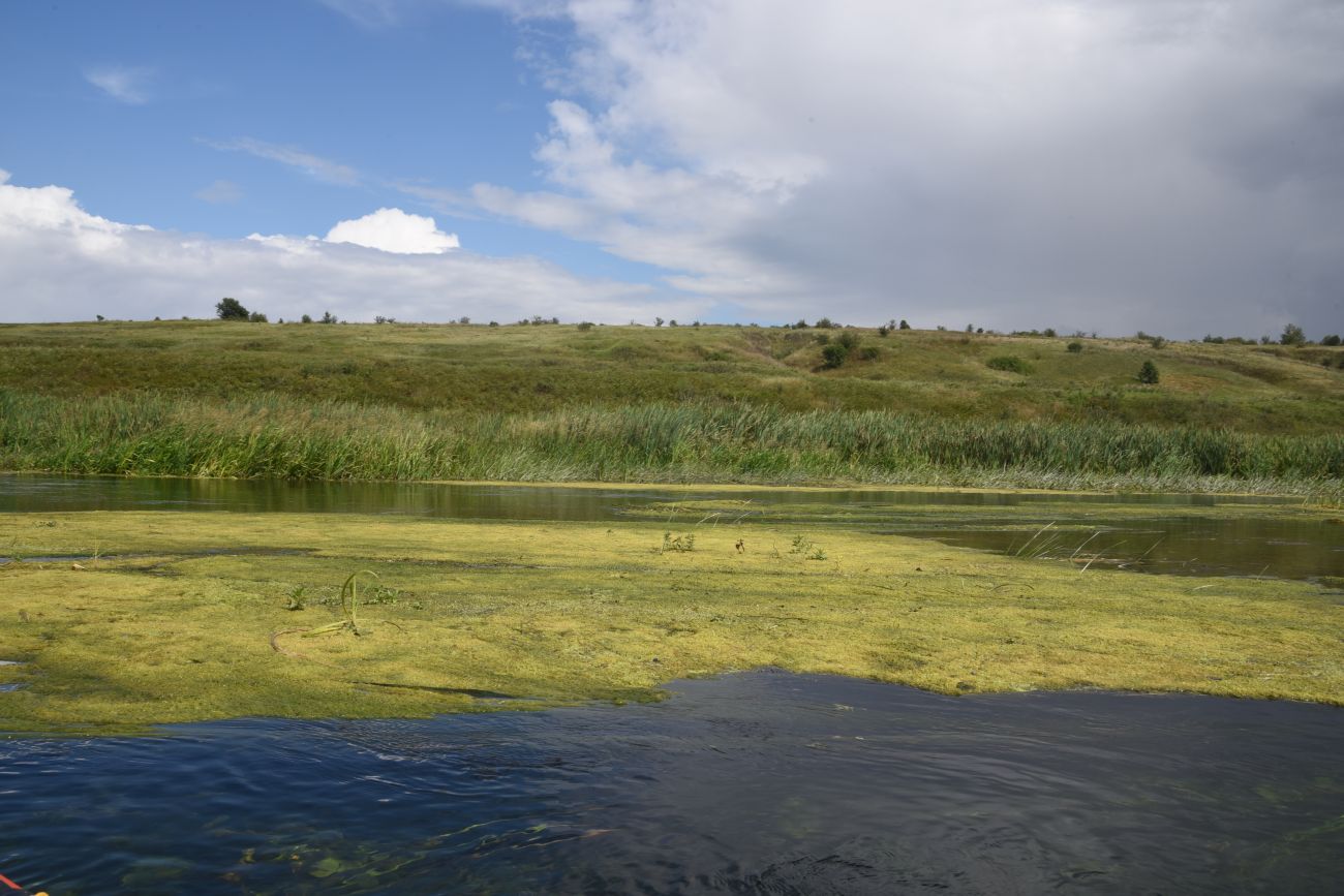 Окрестности села Хитрово, image of landscape/habitat.