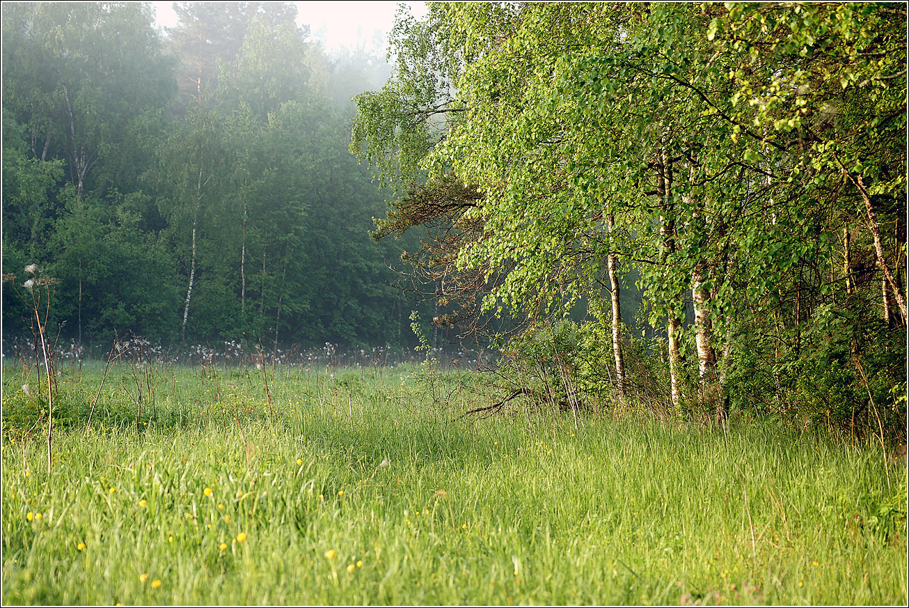 Окрестности Хрипани, image of landscape/habitat.