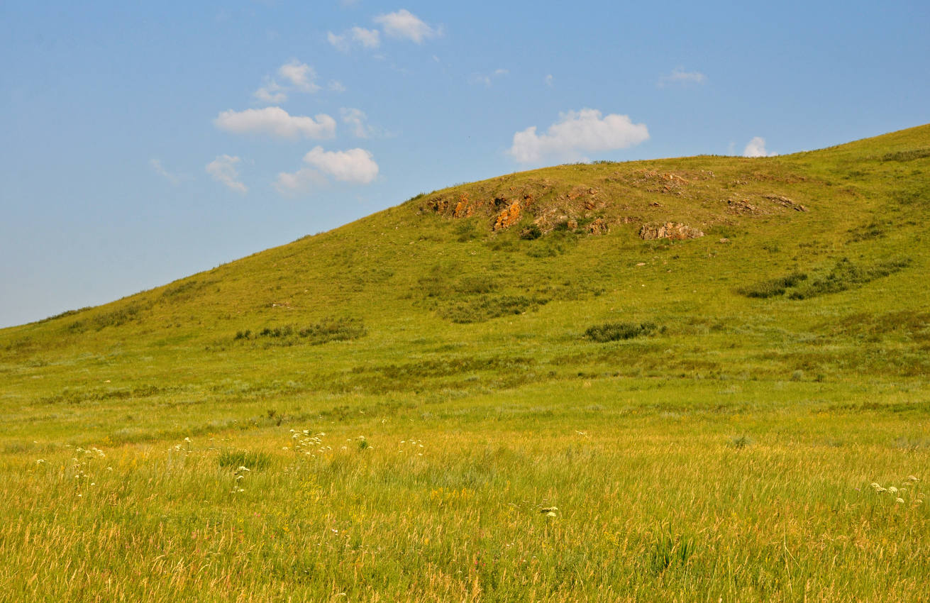 Озеро Шунет, image of landscape/habitat.