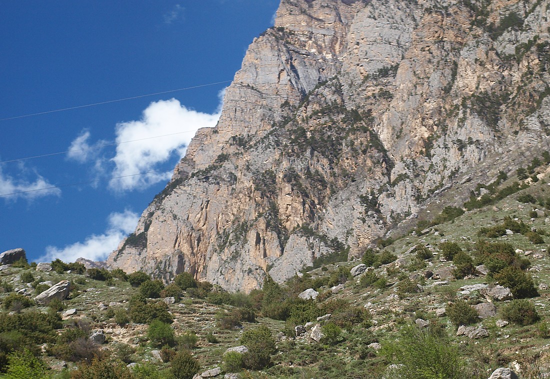 Середина Алагирского ущелья, image of landscape/habitat.