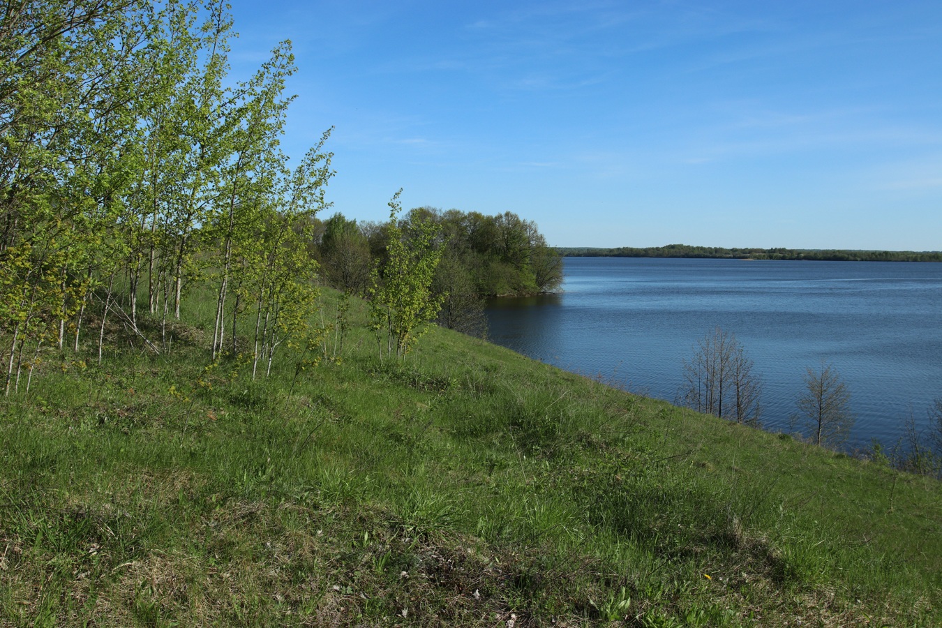 Окрестности Худоярово, image of landscape/habitat.