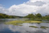 Окрестности села Хитрово, image of landscape/habitat.