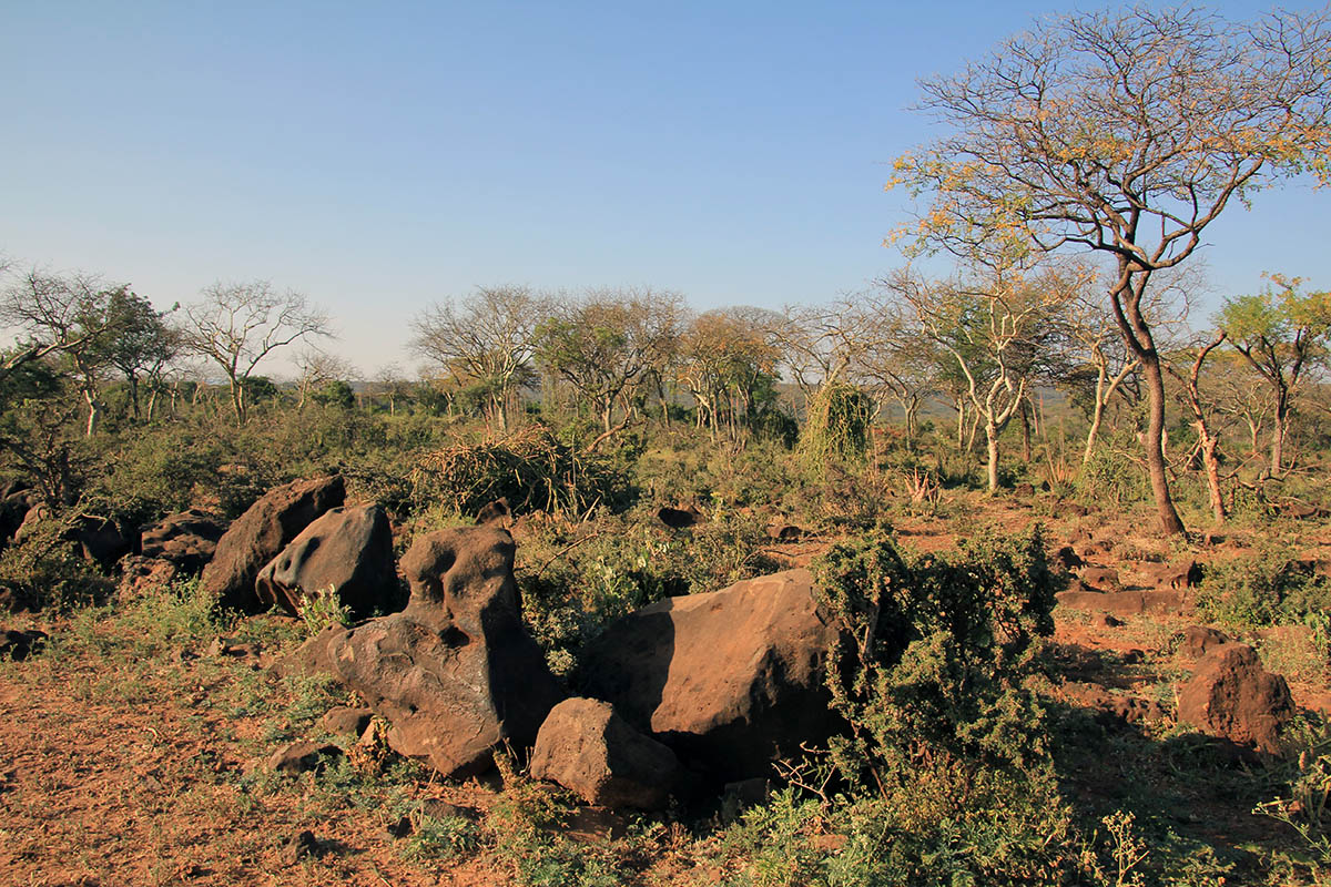 Соф-Омар, image of landscape/habitat.