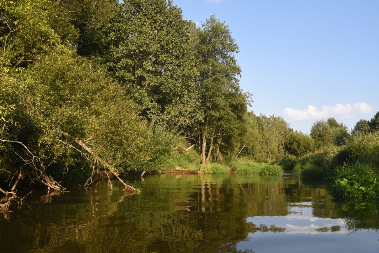 Горицы, image of landscape/habitat.