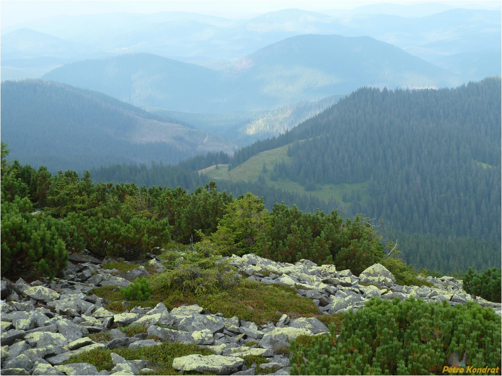 Горганы, image of landscape/habitat.