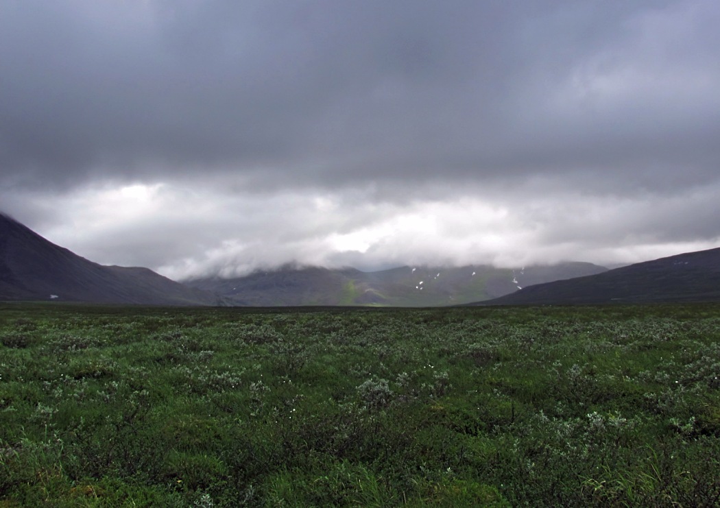 Изъяшор, image of landscape/habitat.