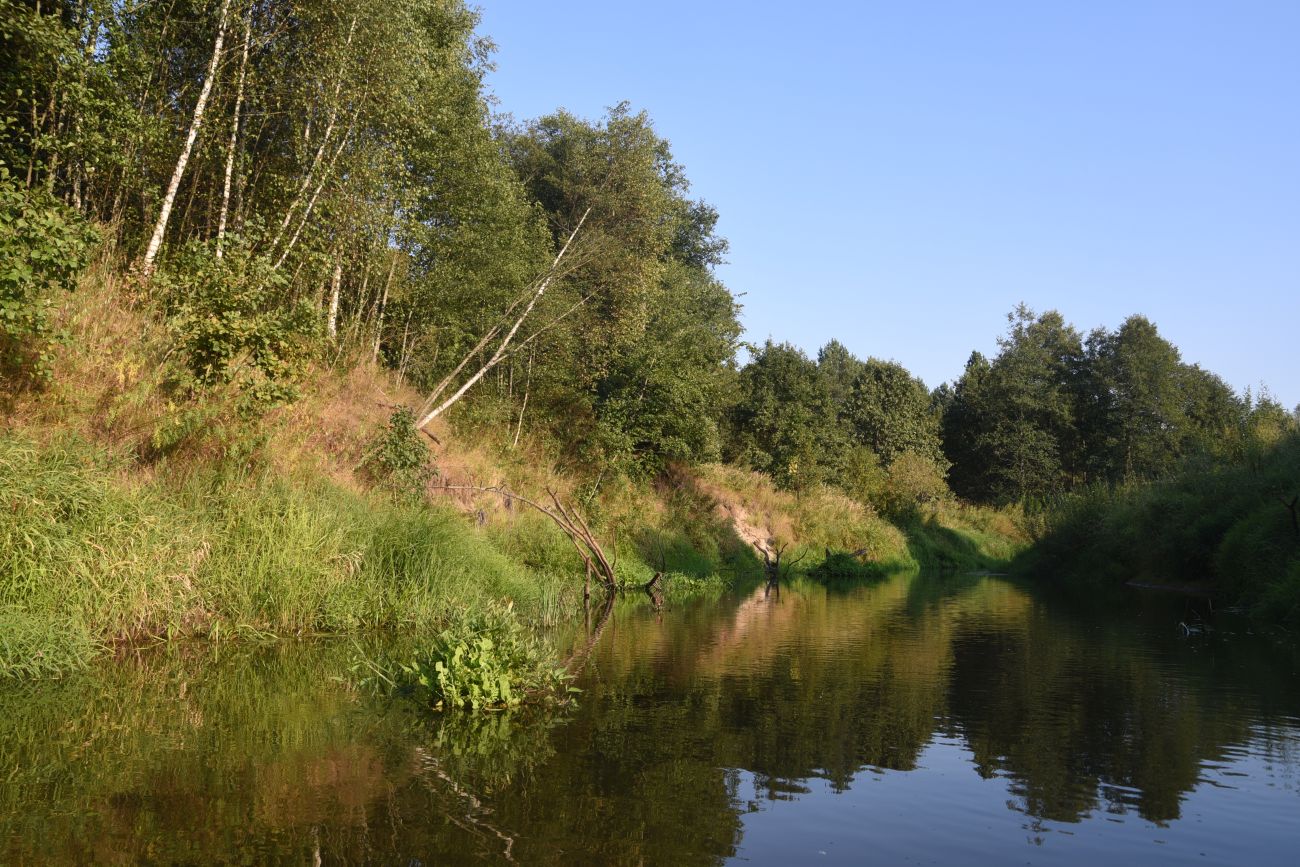 Устья ручья Дубровня, image of landscape/habitat.