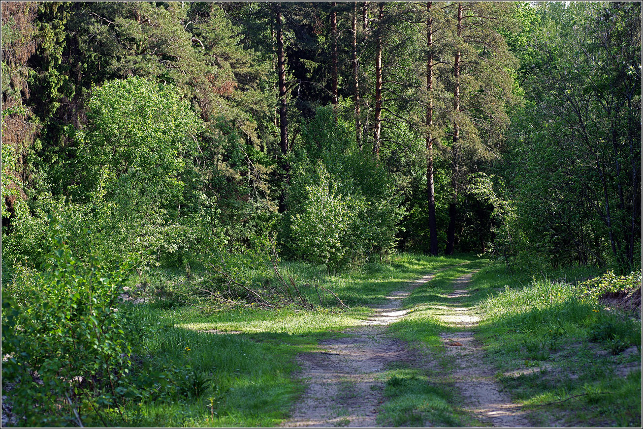 Окрестности Хрипани, image of landscape/habitat.