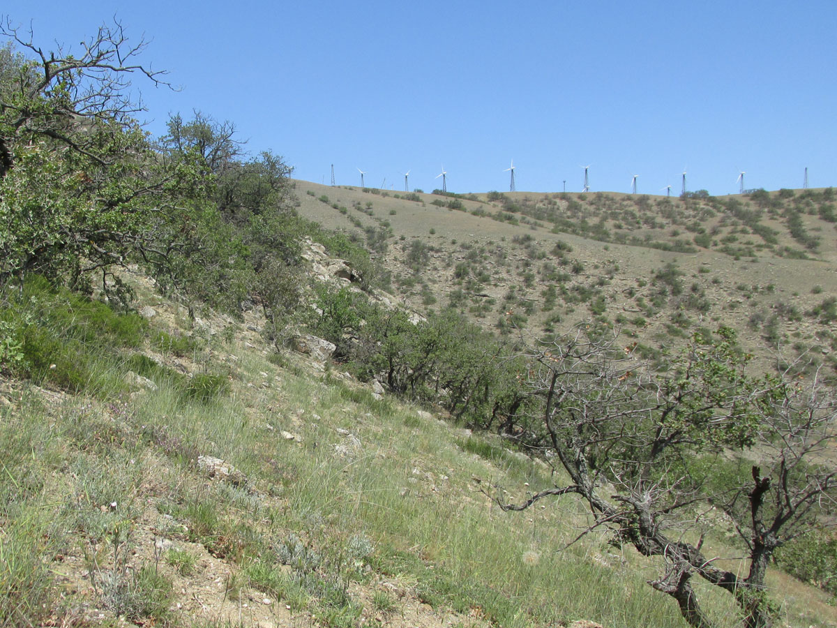 Меганом, image of landscape/habitat.