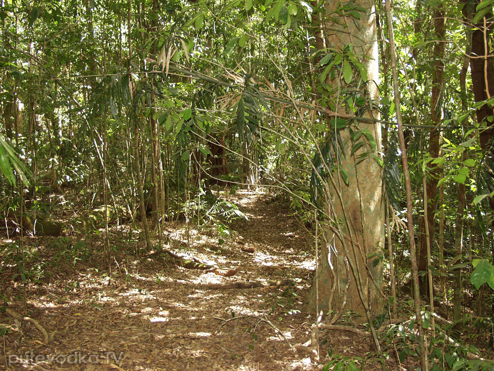 Палума, image of landscape/habitat.