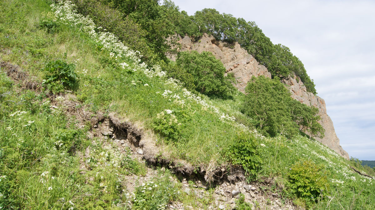 Бухта Большая Лагерная, image of landscape/habitat.