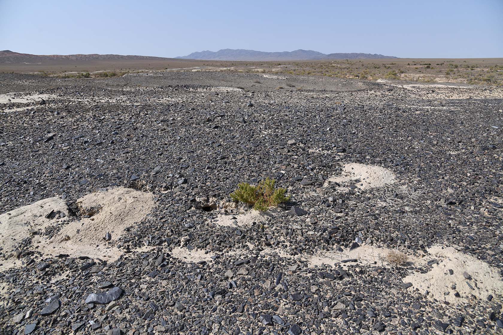 Горы Улькен-Богуты, image of landscape/habitat.