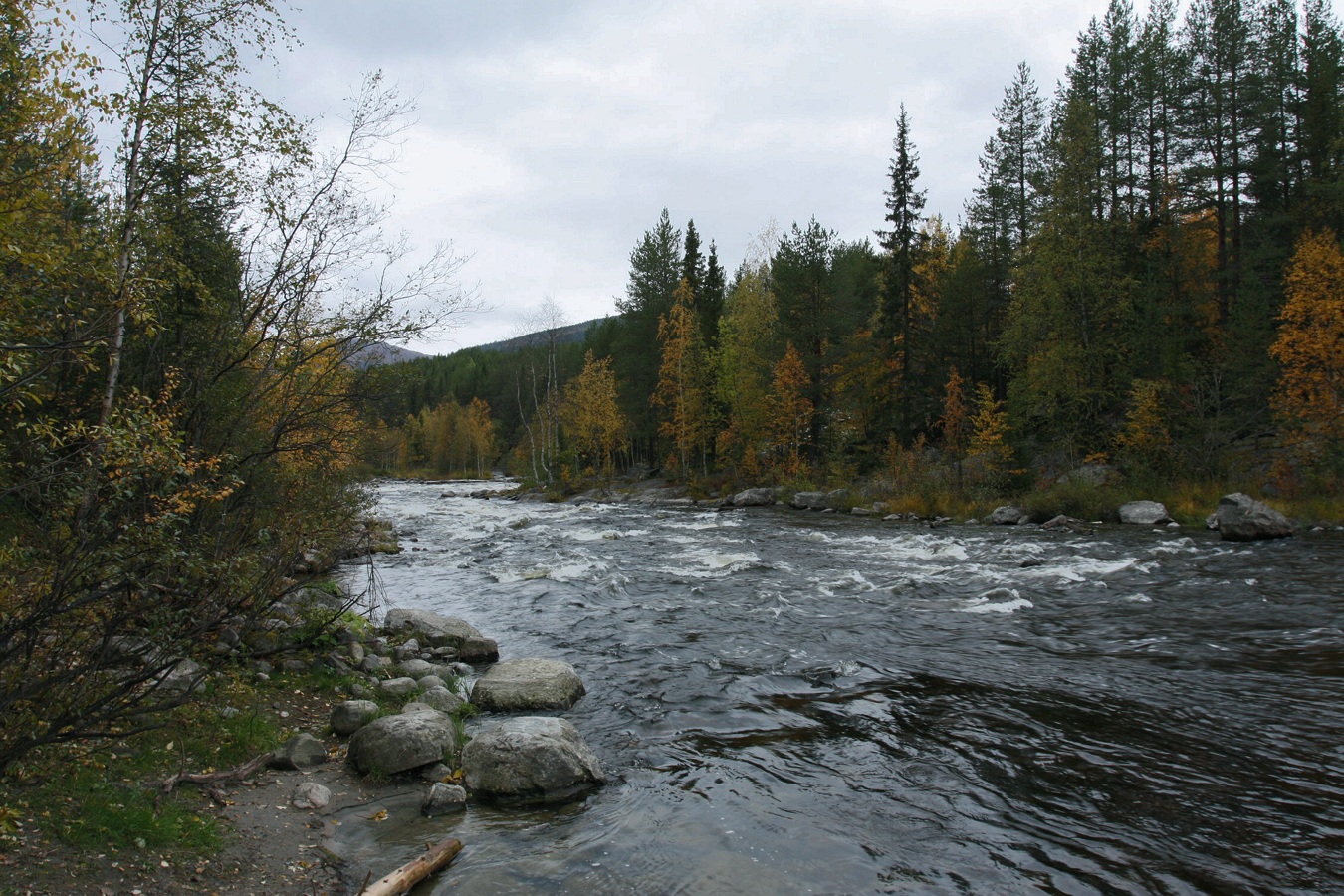 Колвица, image of landscape/habitat.