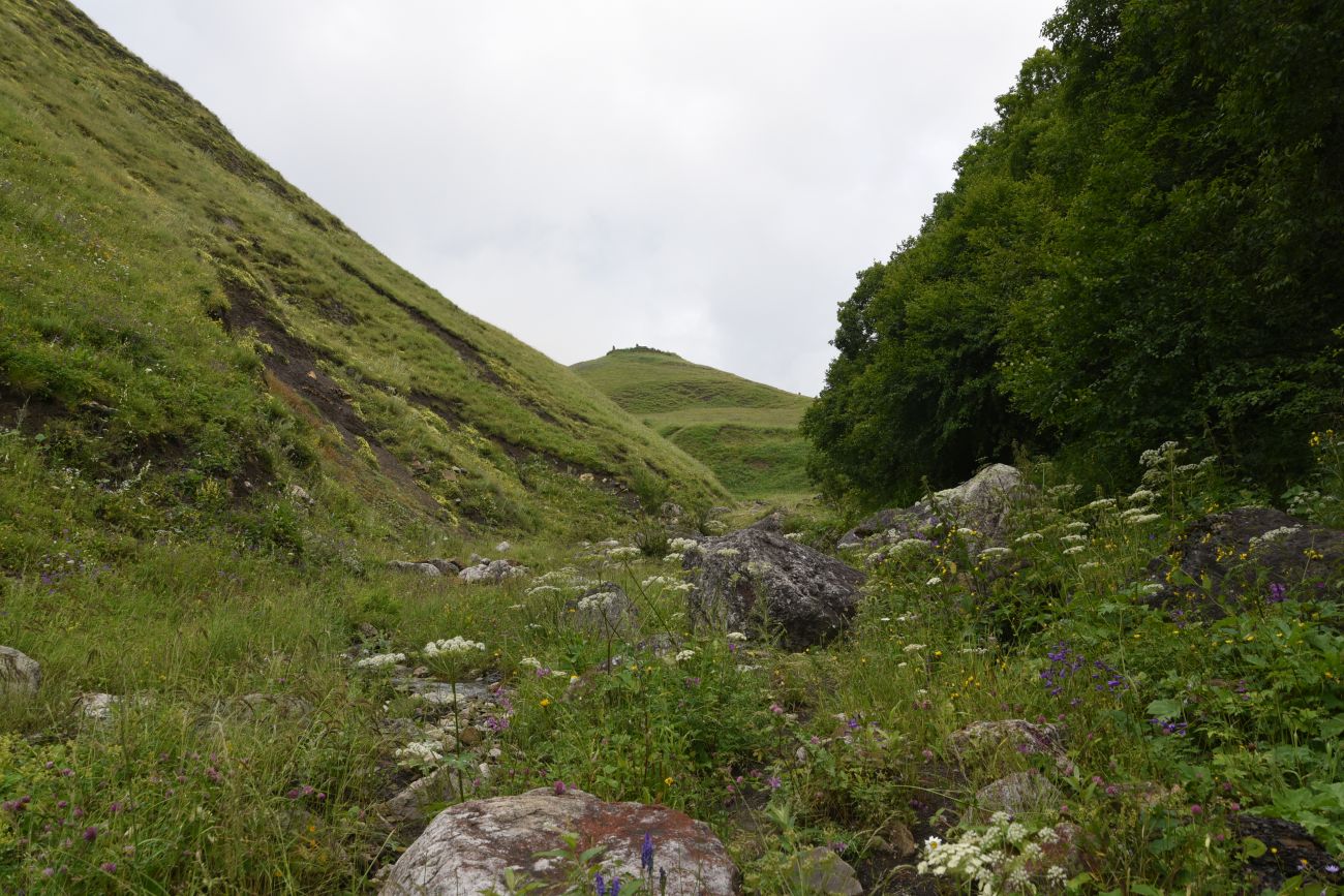 Урочище Кязи и окрестности, image of landscape/habitat.