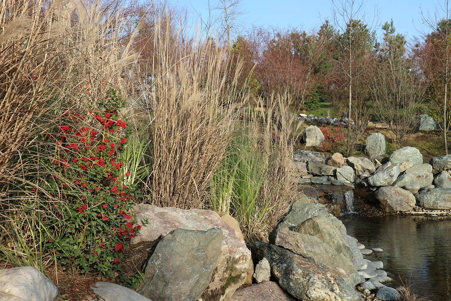 Японский сад в парке Галицкого, image of landscape/habitat.