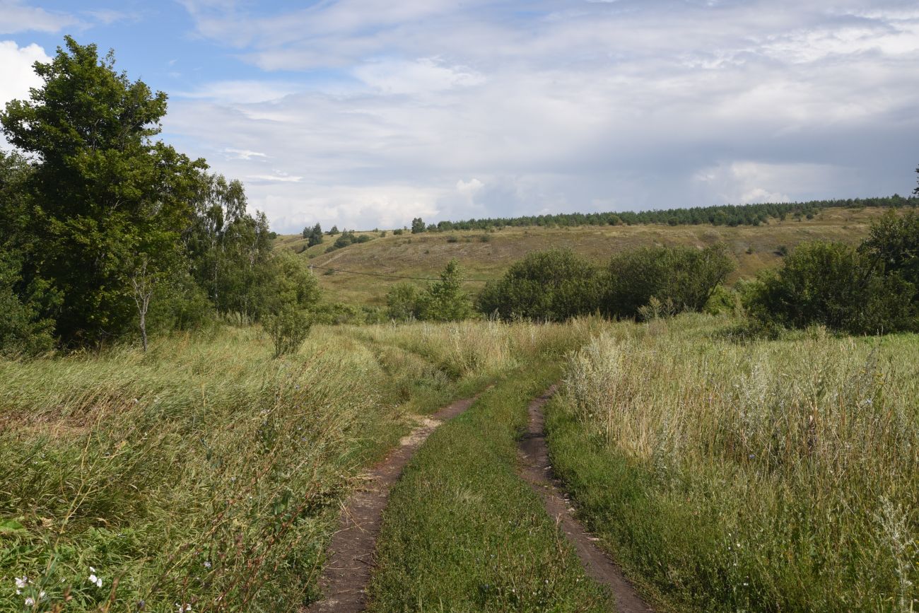 Окрестности села Хитрово, image of landscape/habitat.