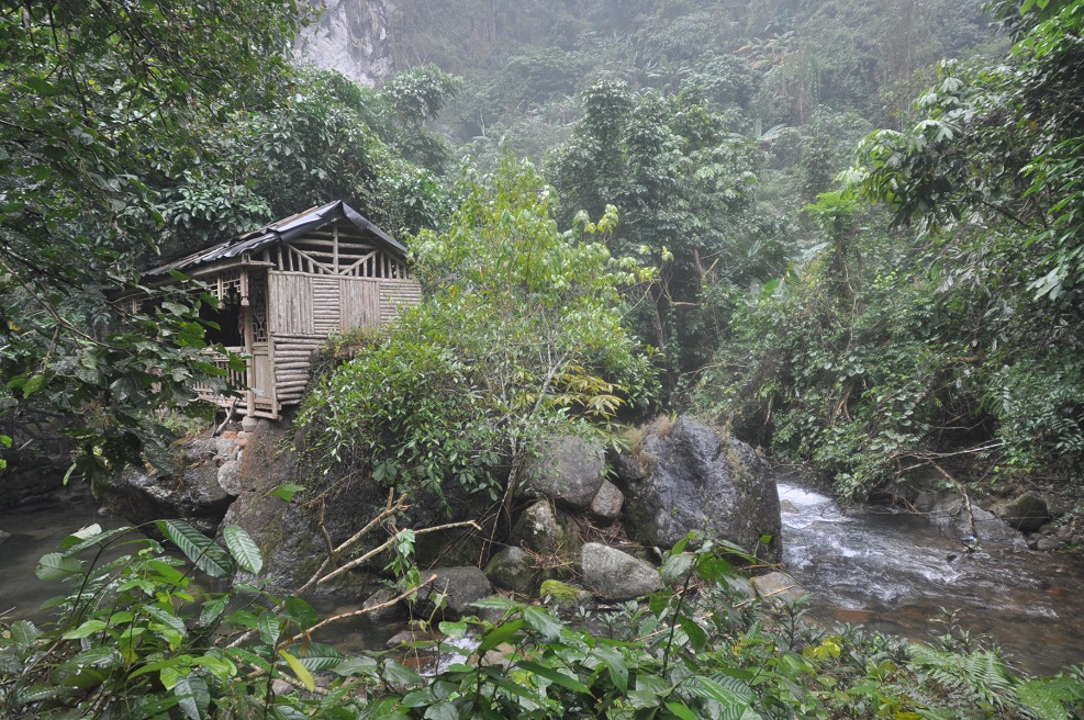 Ущелье Tonglin Gorge, image of landscape/habitat.