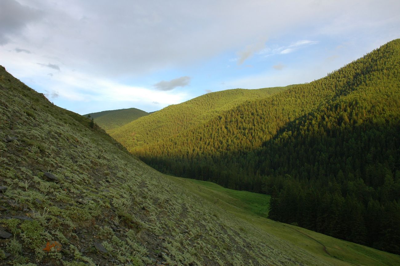 Долина ручья Ороктой, image of landscape/habitat.