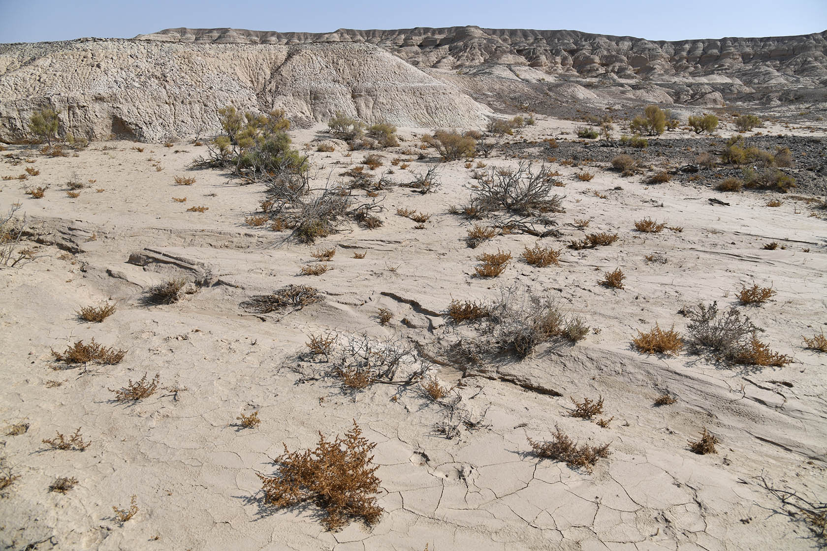 Горы Улькен-Богуты, image of landscape/habitat.