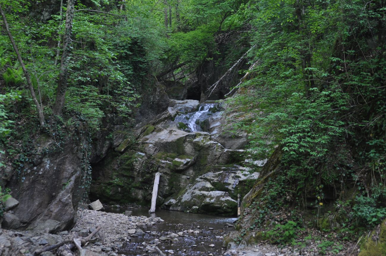 Переправа через Сюк, image of landscape/habitat.
