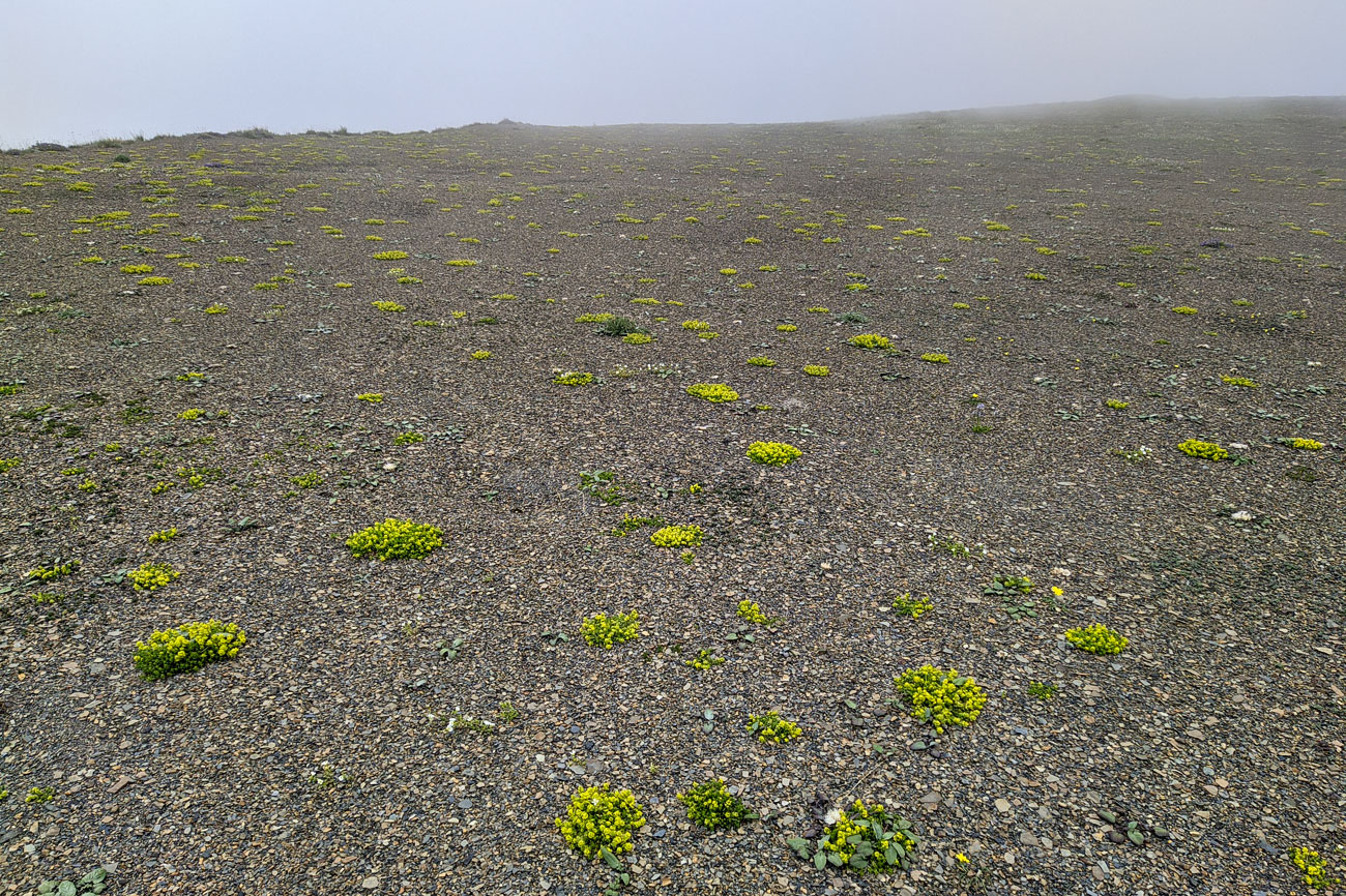 Гора Казатхох, image of landscape/habitat.