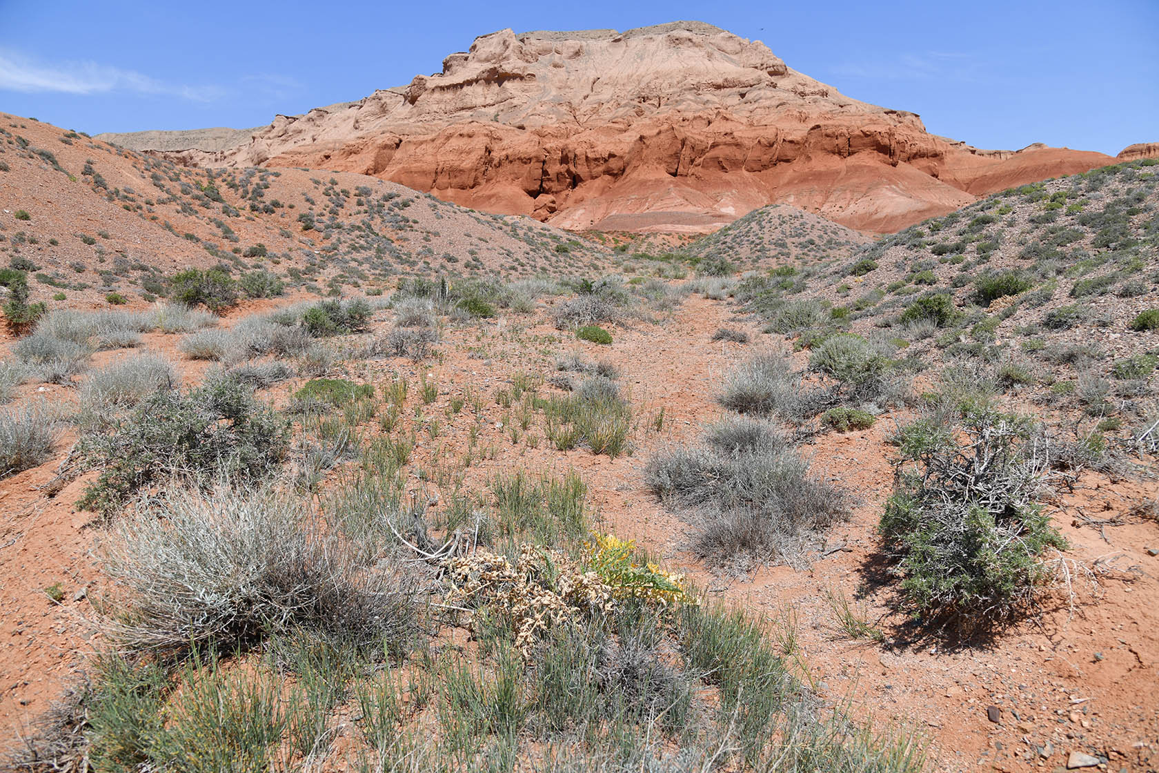 Горы Улькен-Богуты, image of landscape/habitat.