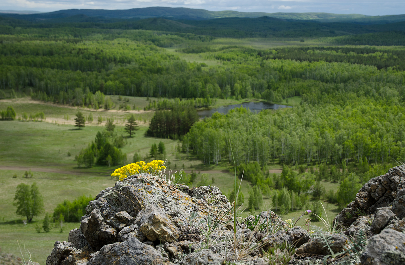 Яльчигулово и окрестности, image of landscape/habitat.