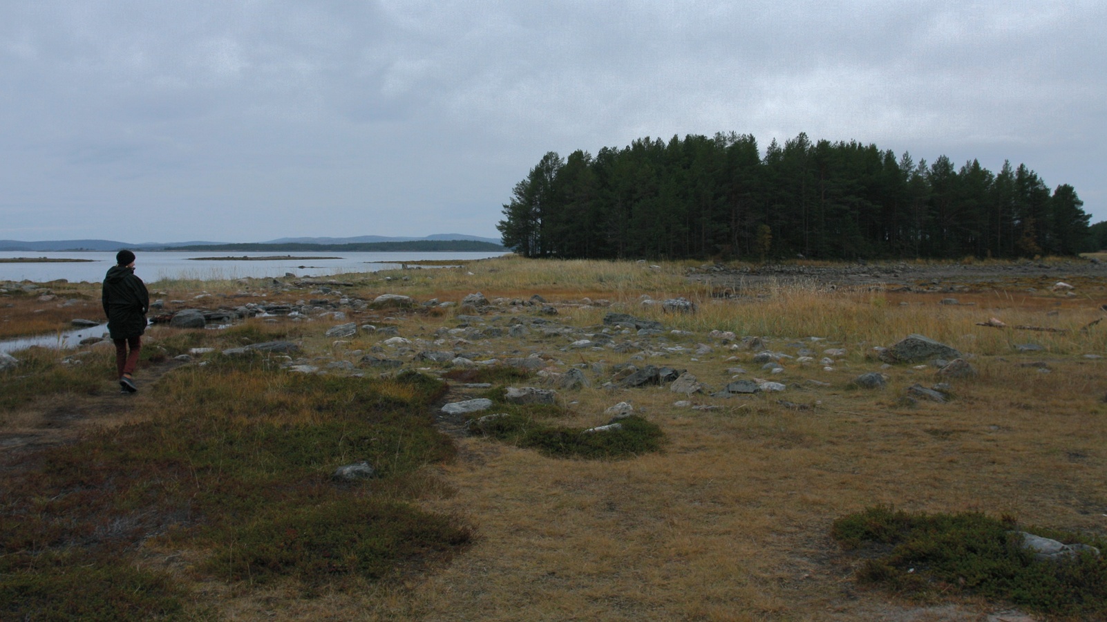 Лабиринт "Вавилон", image of landscape/habitat.