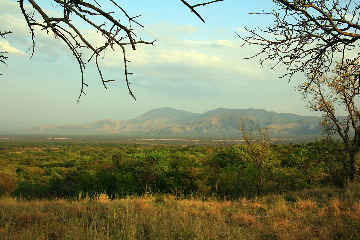 Маго, image of landscape/habitat.