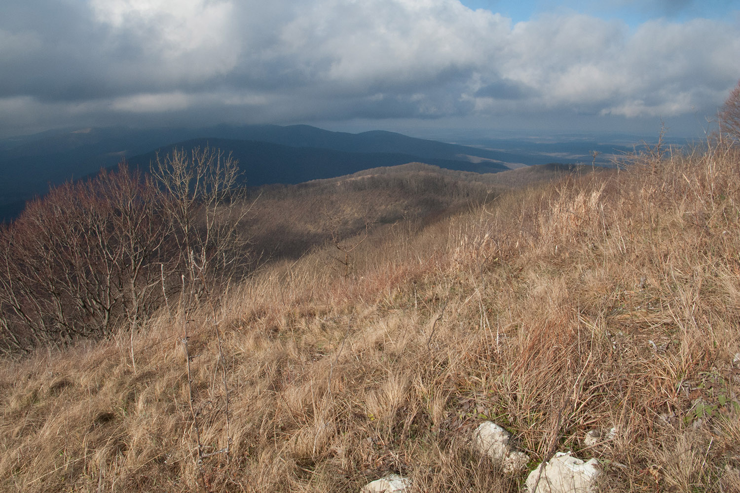 Топчиноватая, image of landscape/habitat.