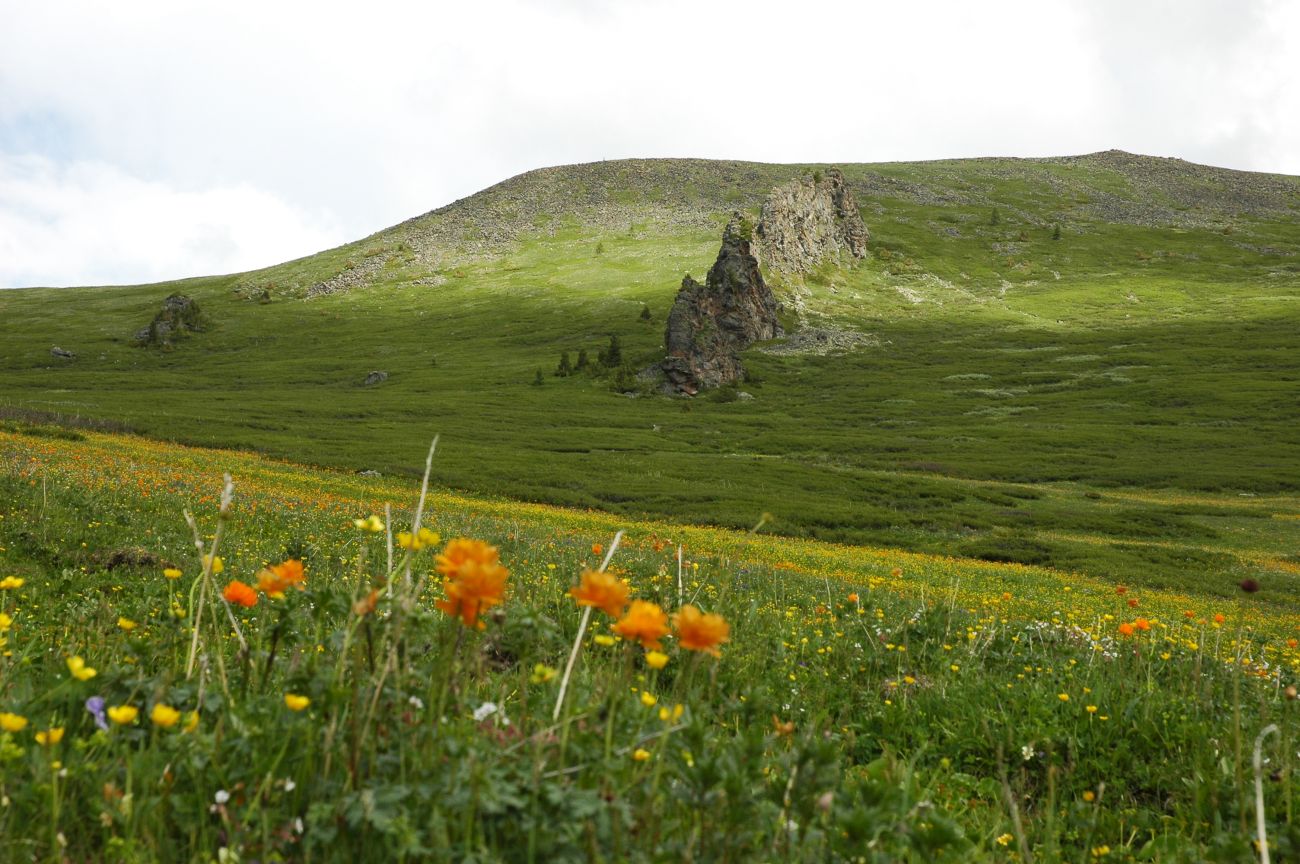 Водораздел р. Аккем и р. Аргут, image of landscape/habitat.