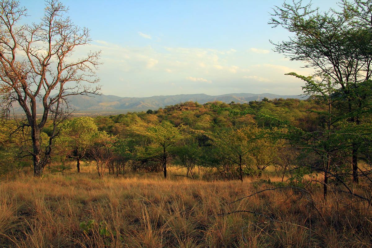 Маго, image of landscape/habitat.