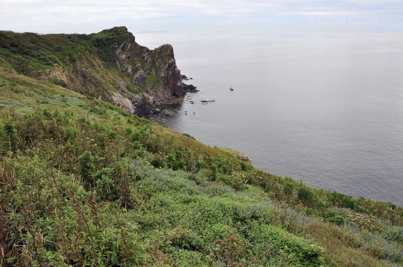 Остров Клыкова, image of landscape/habitat.