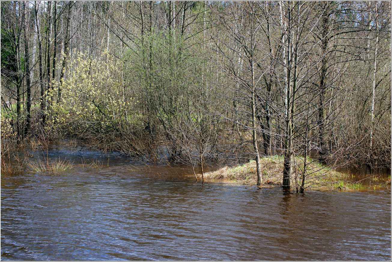 Окрестности Хрипани, image of landscape/habitat.