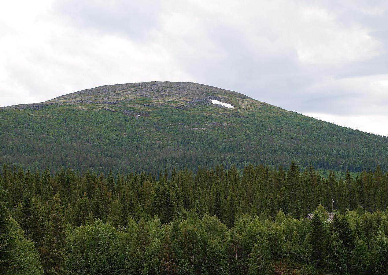 Колвица, image of landscape/habitat.