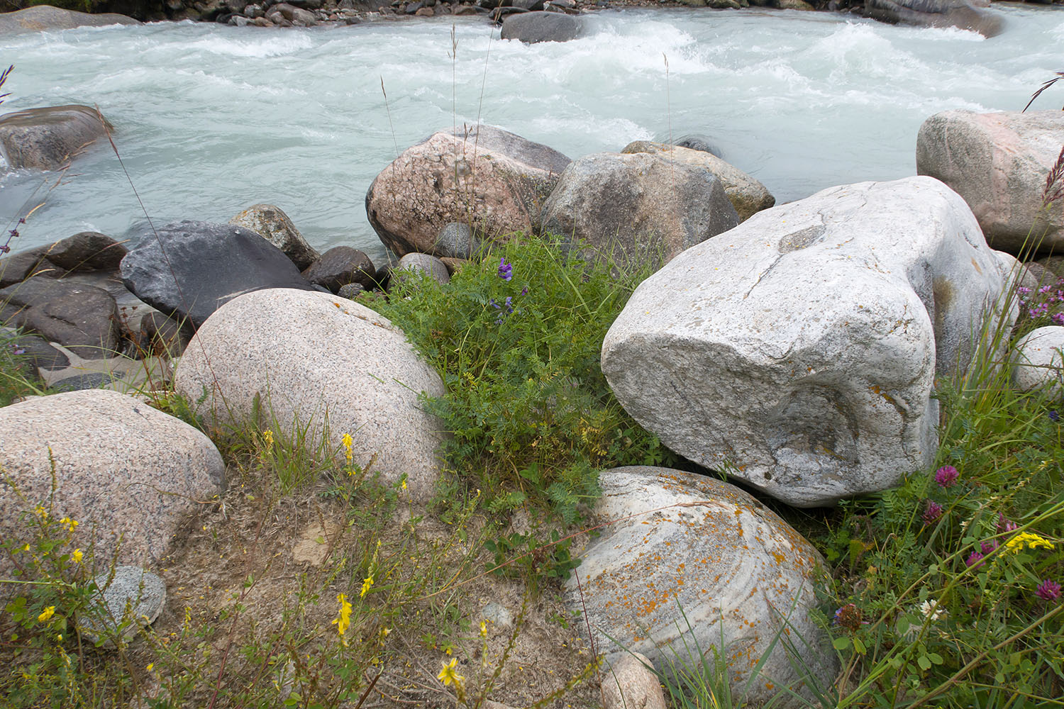 Луг в излучине Псыгансу, image of landscape/habitat.