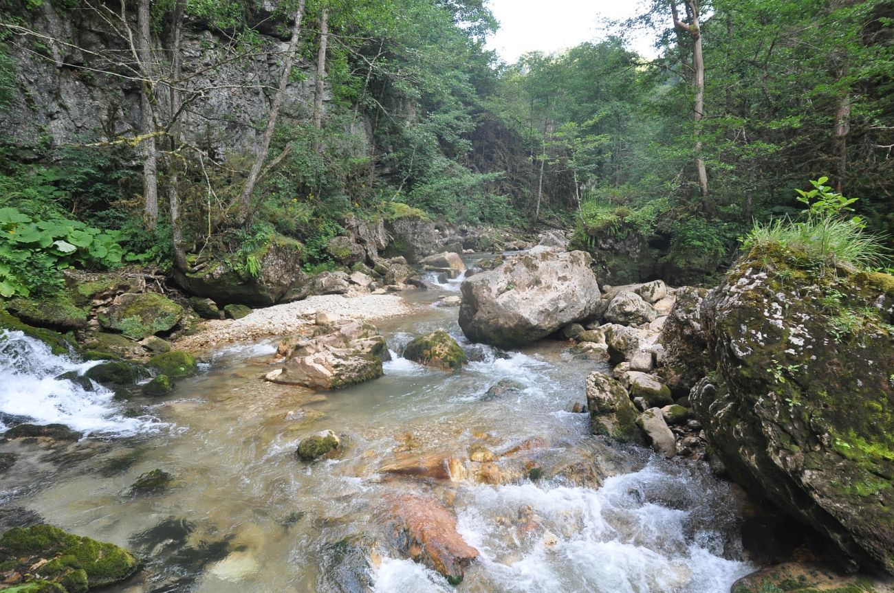 Курджипское ущелье, image of landscape/habitat.